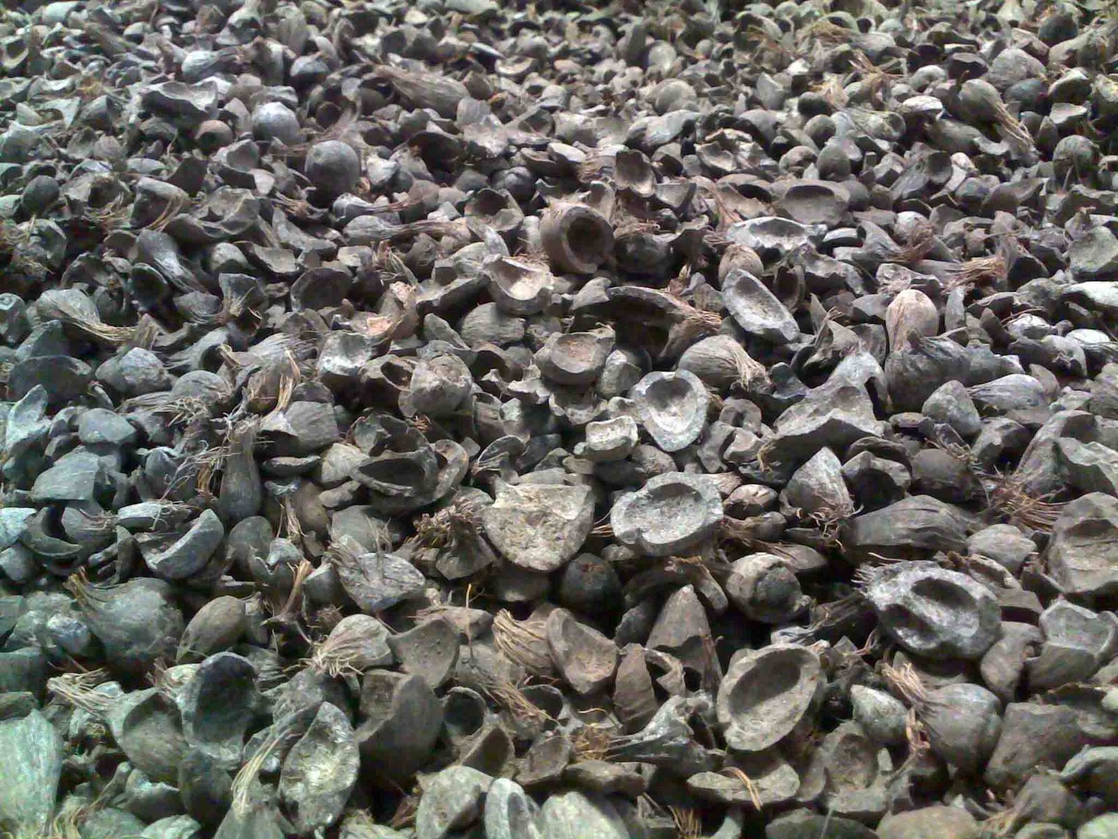 Elpiji Langka, Brondo Jadi Alternatif  Warga Lebak