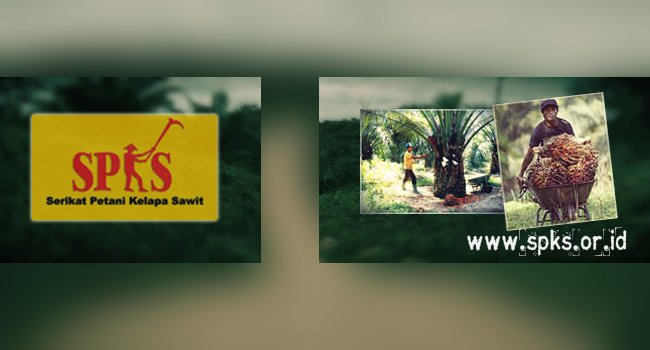 SPKS : Sistem Kemitraan Sebab Konflik Antara Petani & Perusahaan