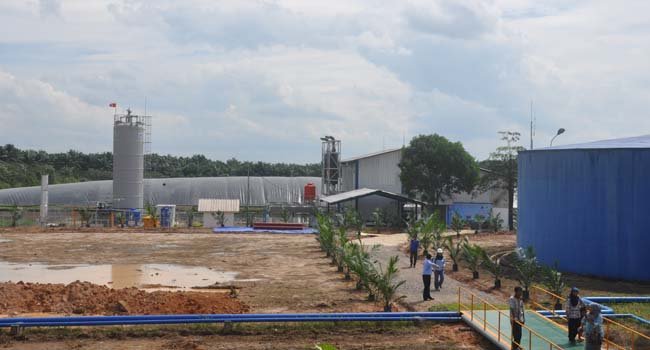 2013-2014 Ditjen EBTKE Jalankan 3 Pliot Project PLTBg