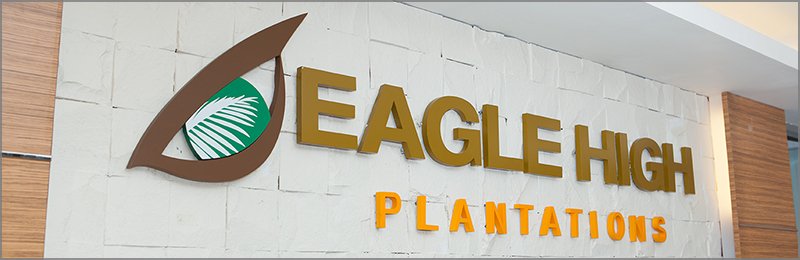 Diskon 15% Ramaikan Akuisisi Eagle oleh Felda