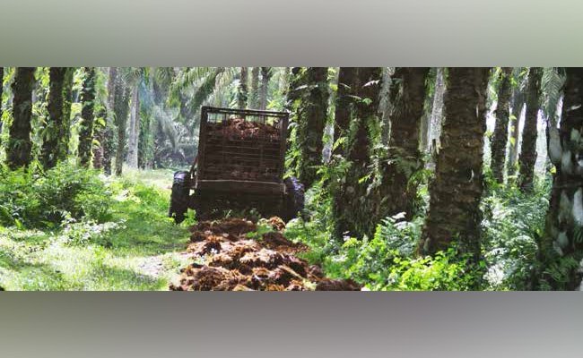 PERLU PENYEDERHANAAN BERBAGAI SERTIFIKASI BERKELANJUTAN