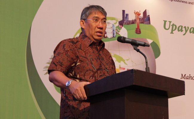 Kebijakan Biodiesel Salah Satu Faktor Dongkrak Harga CPO