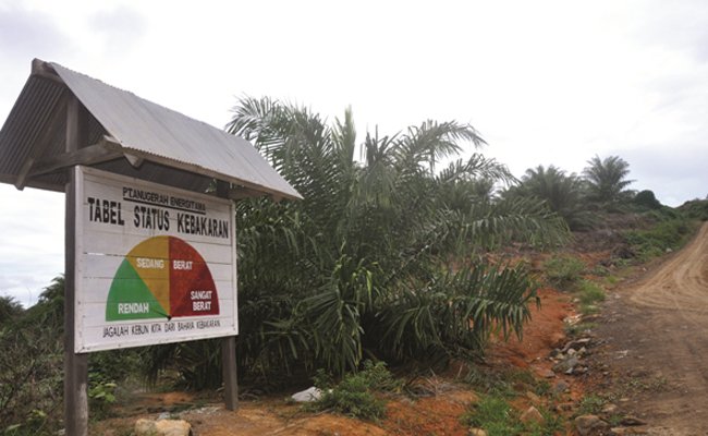 Palma Serasih Bentuk TKTD, Jaga Lahan Dari Kebakaran