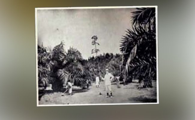 Awal Konglomerasi Perkebunan