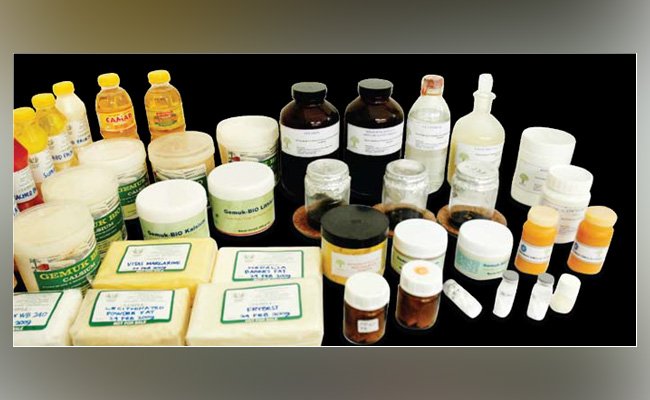 Hak Paten Sawit Dikuasai Amerika Serikat