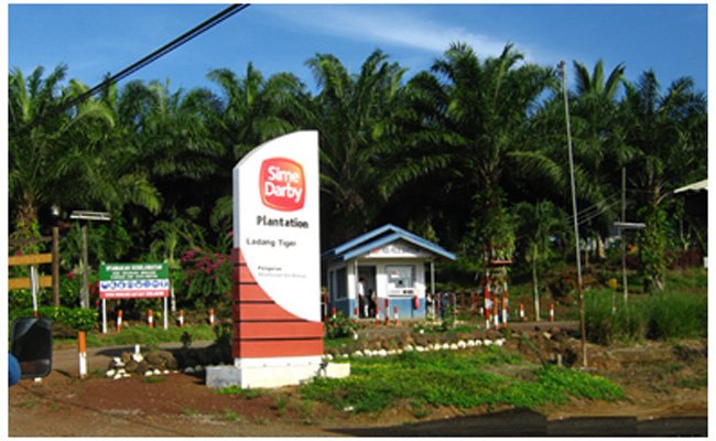 Misi 25:25 Target Produksi Sawit Sime Darby di 2025