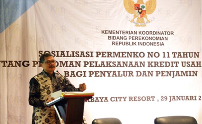Pembiayaan Replanting Sawit Bisa Gunakan KUR Khusus