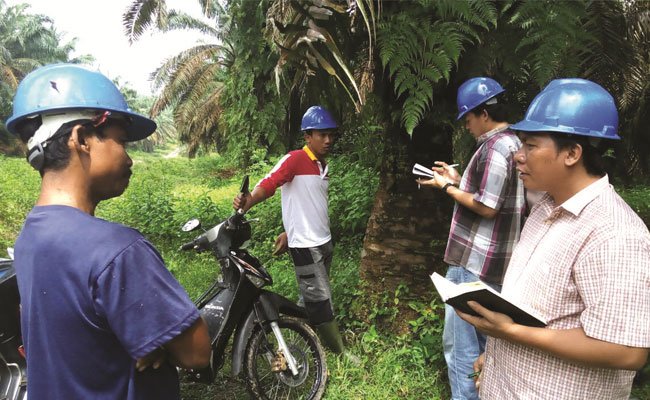Komitmen IndoAgri Ajak Pekebun Sawit Swadaya Terapkan Budidaya Berkelanjutan