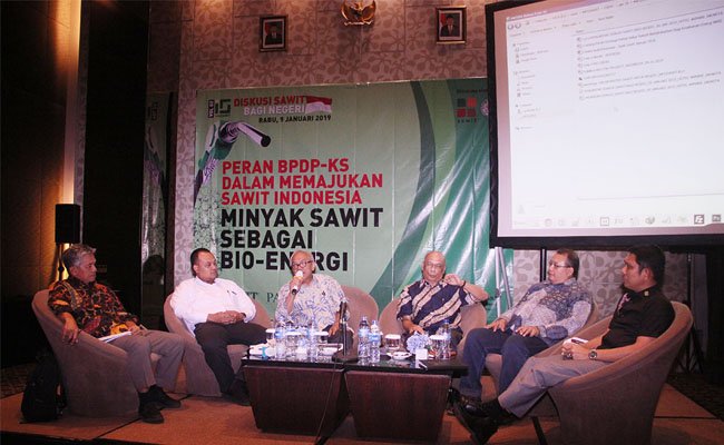 Pelaku Dukung Pengembangan Sawit Sebagai Bioenergi