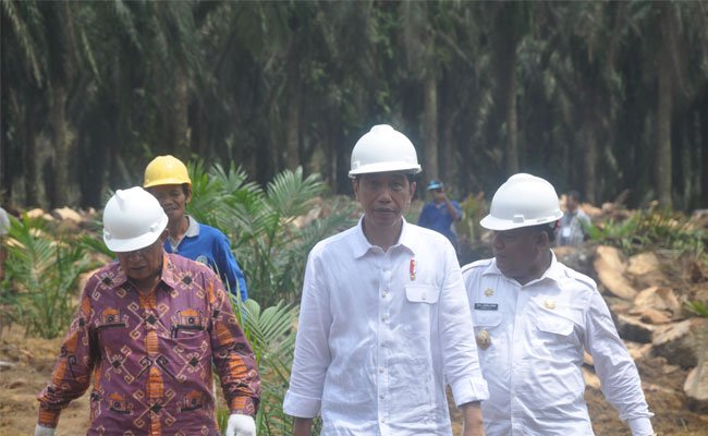 Sawit Ditangan Jokowi
