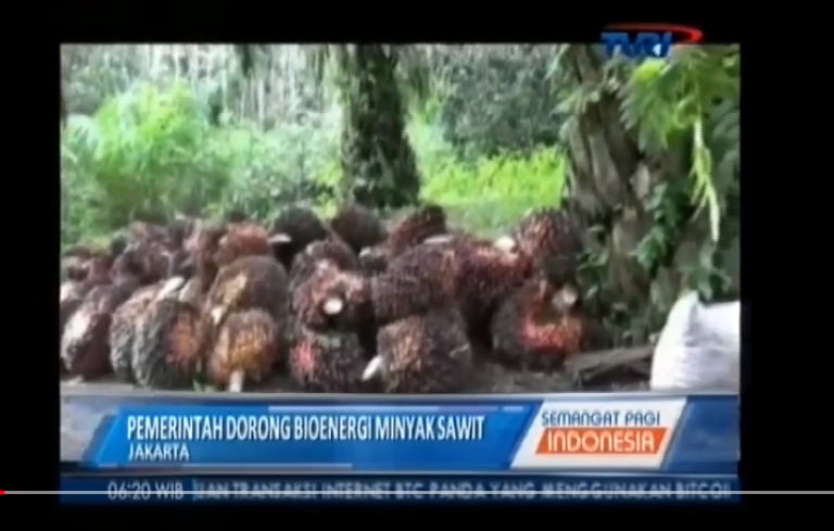 Siaran TVRI - Diskusi sawit bagi negeri infoSAWIT - vol 2