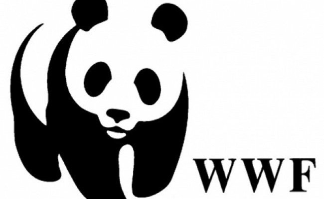 Kementerian LHK – WWF Pecah Kongsi