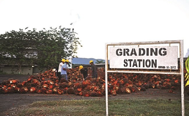 Grading Station