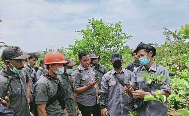 Hutan Desa di Ketapang Bukti Konservasi Berjalan