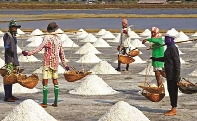 Pupuk NACL Sang Mutiara Putih