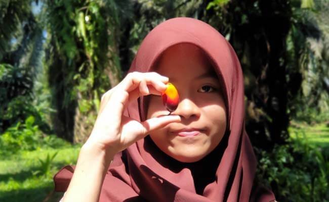 Sawit Selamatkan Mata Anak Bangsa