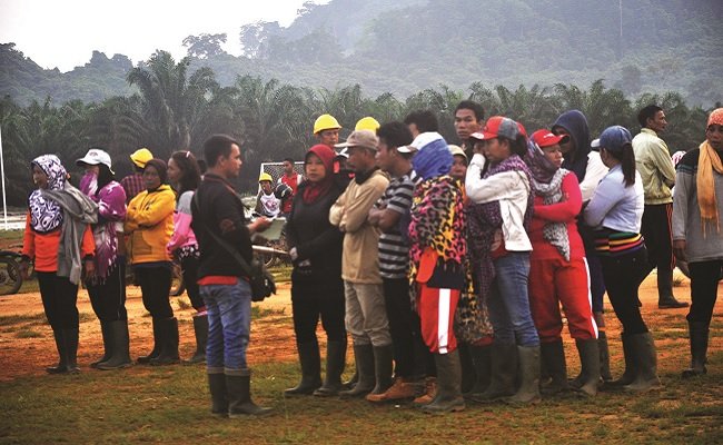 Tahukah Bahwa Buruh Sawit Alami Tiga Kesulitan Selama Pandemi