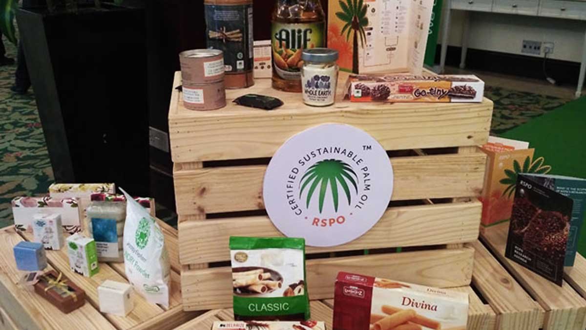 Dari Minyak Sawit ke Produk Kesehatan, Peluang Hilirisasi Bernilai Tinggi