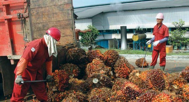 AKANKAH CSF MENJADI “THE MAGIC BULLET”