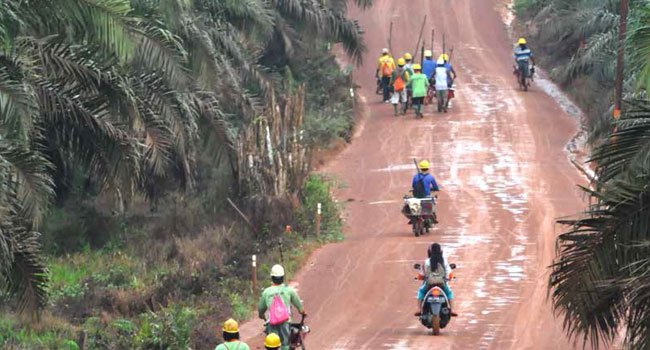 MENDORONG KARBON TIDAK MELUAP