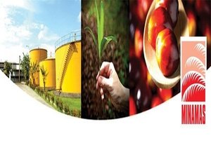 Minamas Berencana Tambah Investasi Di Aceh         