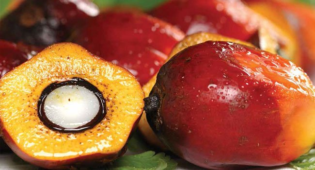 PROMOSI SAWIT BARU ALA LSM