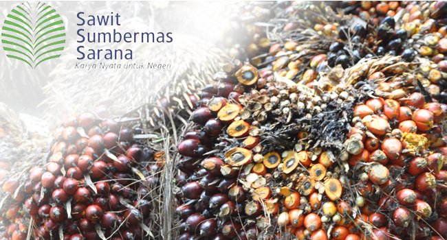 Saham SSMS Di Lantai Bursa Menguat Terbatas  