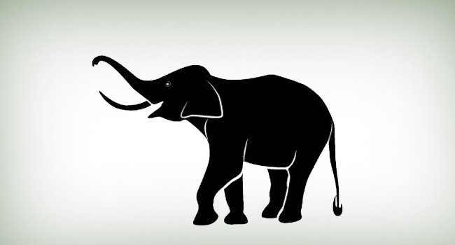 Gajah Ganggu Perkebunan Masyarakat