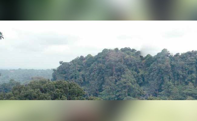MENGGANTANG  MORATORIUM