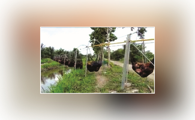 Mau Coba Transportasi TBS Menggunakan Sistem Cableway