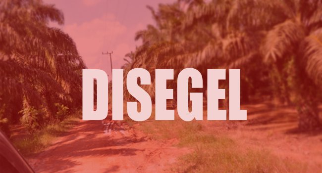 PT PKS Diberi Sanksi Oleh Dinas Lingkungan Hidup Kabupaten Inhil