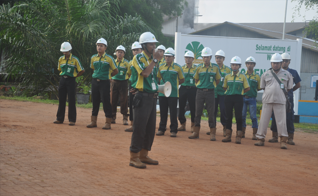 8 Kunci Sukses Menuju Masa Depan di Sawit