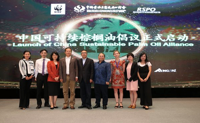 Aliansi Minyak Sawit Berkelanjutan China Resmi Dibentuk