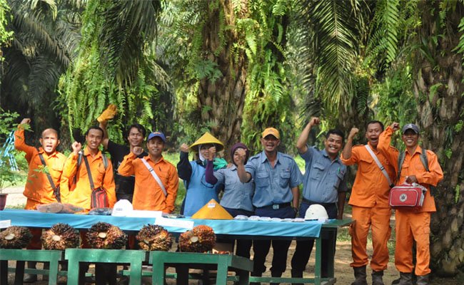 Cargill Kampiun Sawit Global Sustainability