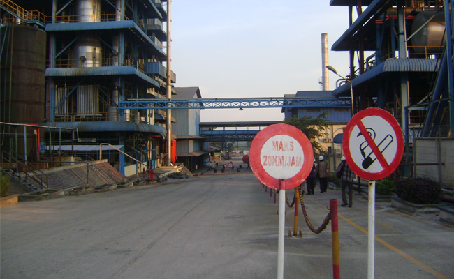 Industri Hilir Sawit Perlu Dikembangkan Indonesia