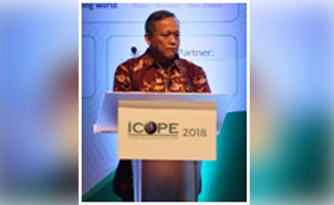 Peremajaan Sawit Rakyat Butuh Solusi Cepat