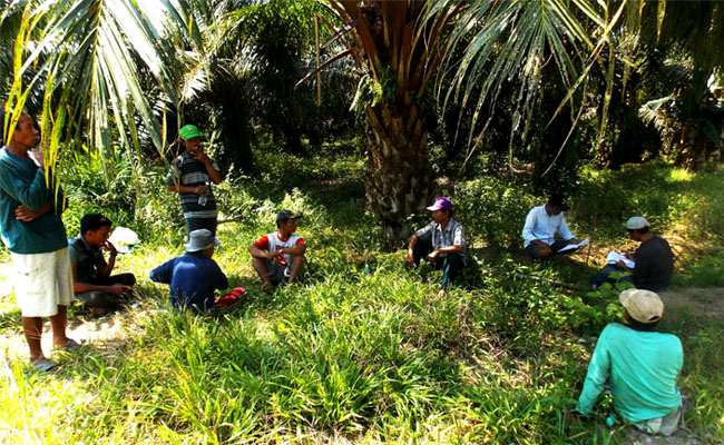 Petani Sawit di Paser Lakukan Aksi Damai di Depan Kantor Bupati