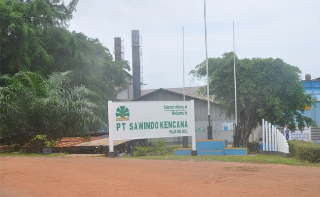 Saham Dua Anak Usaha Sawit Sepenuhnya Milik Kencana Agri