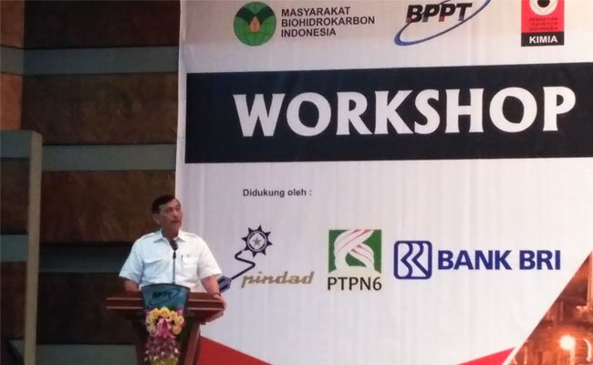 3 Masalah Sawit yang Butuh Solusi Tepat