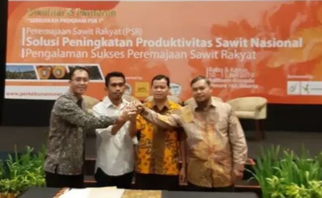 4 Asosiasi Petani Sawit Swadaya Bentuk POPSI