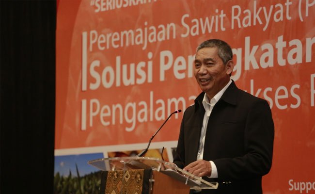 Berkembangnya Sawit Membuat Khawatir Uni Eropa