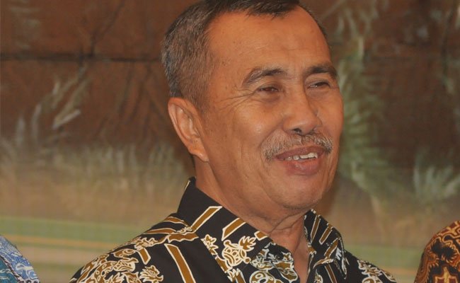 Dilema Peremajaan Sawit Rakyat di Riau
