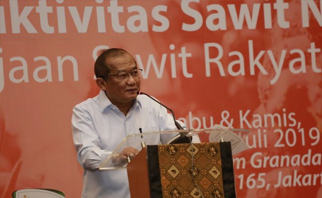Rekomtek Peremajaan Sawit Rakyat Per Juni 2019 Capai 33 Ribu Ha
