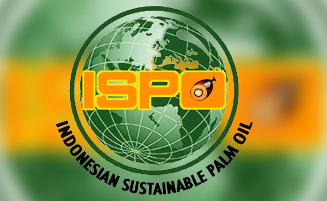 Kini Penerbitan Sertifikat ISPO Sawit Dilakukan Lembaga Sertifikasi