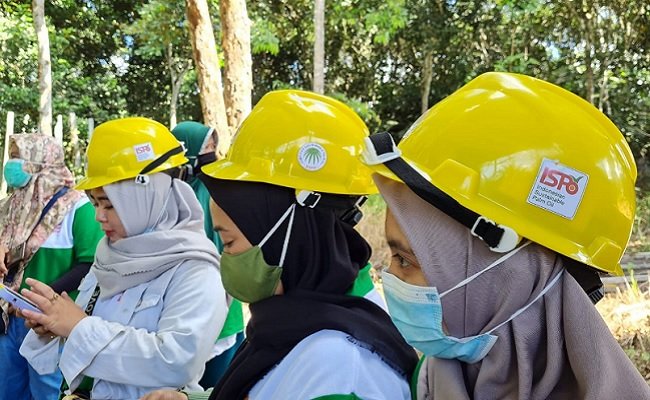 10.000 Petani Kelapa Sawit Swadaya Siap Bersertifikat ISPO Sampai 2024