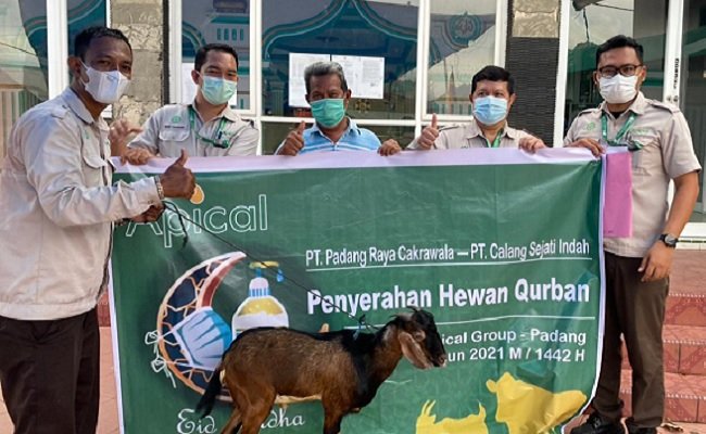 Apical Salurkan Hewan Kurban, Dan Berbagi Tips Pengolahan Minyak Sawit Berkelanjutan