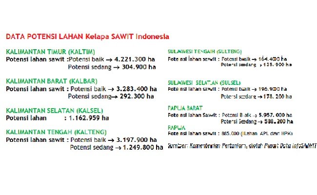 Menilik Potensi Perkebunan Kelapa Sawit di 3 Provinsi