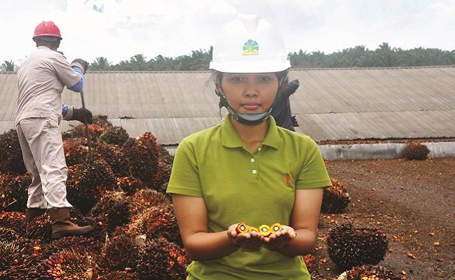 Perempuan Sawit Bawa Perubahan Lebih Baik