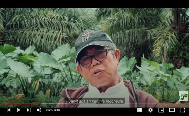 Sawit Adalah Karunia Indonesia