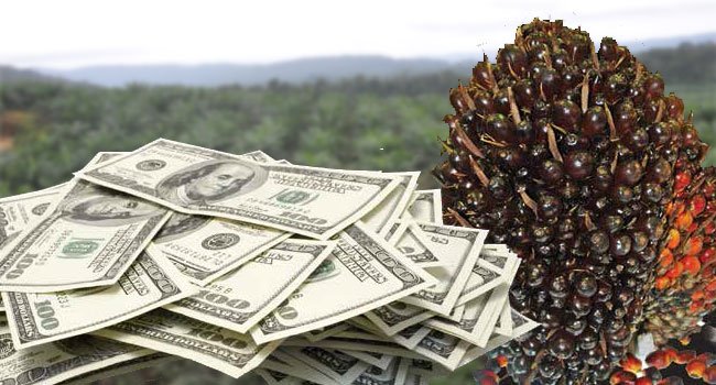 HARGA SAWIT TERTEKAN CSF DAN BK